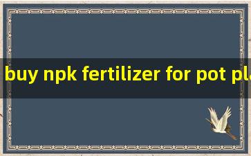 buy npk fertilizer for pot plants